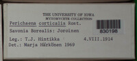 Image Associated With the Occurence